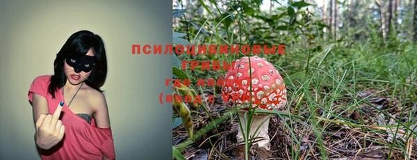 дмт Алексеевка