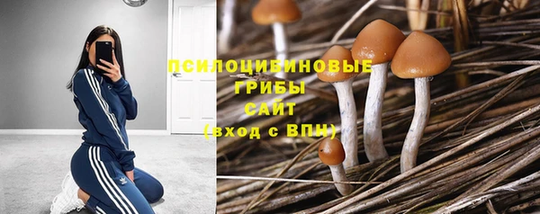 дмт Алексеевка